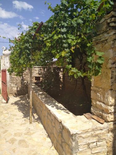 eine Steinmauer mit einem Baum daneben in der Unterkunft Apartman Lapis Fructus in Pridraga