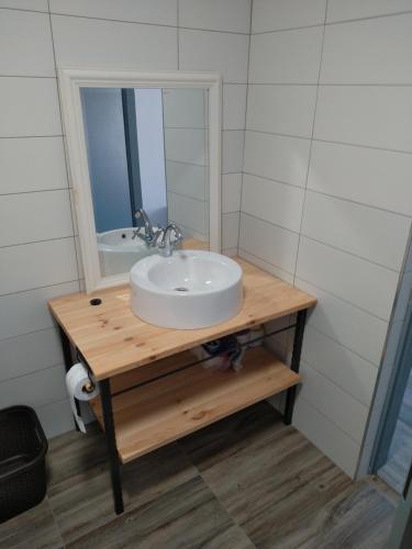 ein Bad mit einem Waschbecken und einem Spiegel in der Unterkunft Apartman Lapis Fructus in Pridraga