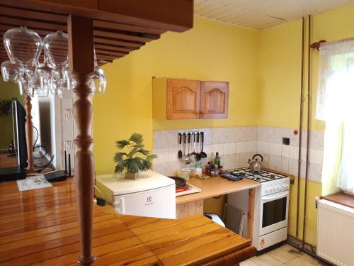 Η κουζίνα ή μικρή κουζίνα στο Čavoj Guest House