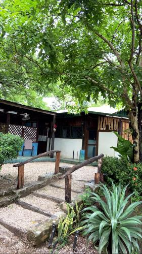 Casa Bhoga – Photos 2