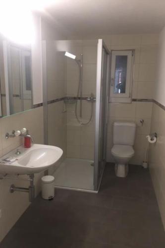 e bagno con doccia, servizi igienici e lavandino. di Apartment Lucie by Interhome ad Adelboden