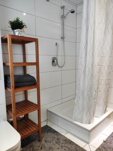 a bathroom with a shower and a bath tub at Ferienwohnung Waldblick Teutoburger Wald in Oerlinghausen