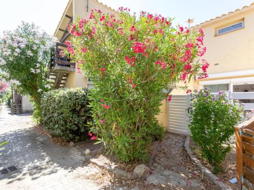 une brousse avec des fleurs roses devant un bâtiment dans l'établissement Apartment Les Cabestans 1-2-3-4 by Interhome, au Barcarès