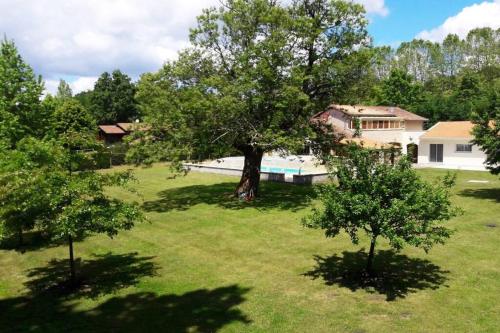 un patio con un árbol y una piscina en Maison équipée balnéothérapie et salle de sport en Saint-Avit