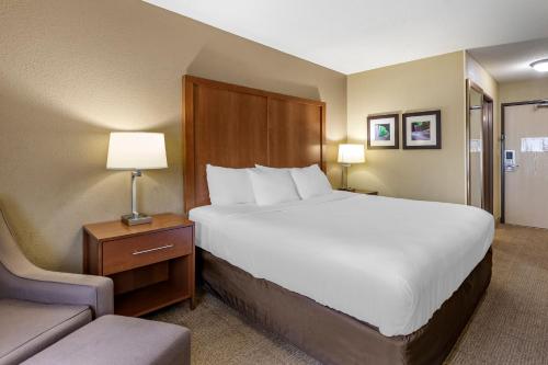Postel nebo postele na pokoji v ubytování Comfort Inn Moline - Quad Cities