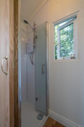 a bathroom with a shower with a glass door at Bannfield shepherds hut in Ballymoney