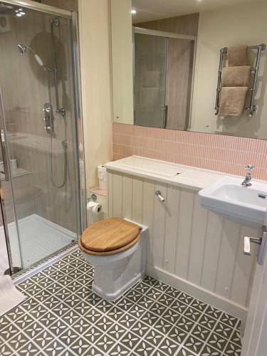 a bathroom with a toilet with a shower and a sink at Gorgeous comfortable barn with huge private orchard in quiet Suffolk location in Depden