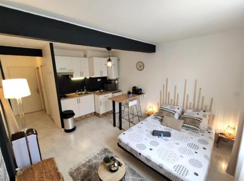 Il comprend un salon avec un grand lit et une cuisine. dans l'établissement Le Jasmin des Carmes - Hypercentre - Netflix, à Toulouse