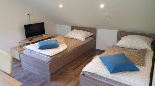 two twin beds in a room with a television at Apartma Cifra Begunje in Begunje na Gorenjskem