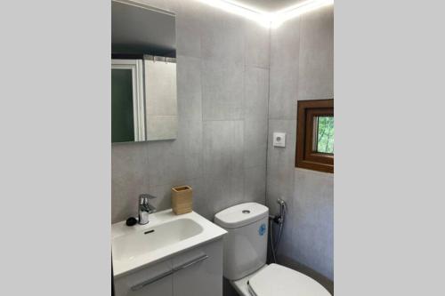 a bathroom with a white toilet and a sink at Cabaña El Verdinal in Uña