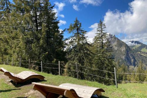 two wooden benches sitting on top of a hill at Chalet Alte Post in Schwarzsee