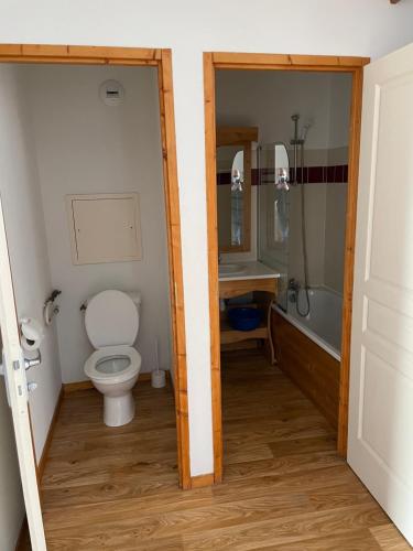 La salle de bains est pourvue de toilettes, d'un lavabo et d'une douche. dans l'établissement Charmant appartement confortable pour 6 personnes de 40m2 au pied, wifi, parking, à Chamrousse