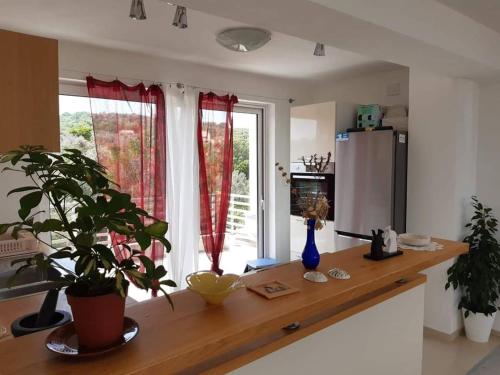Η κουζίνα ή μικρή κουζίνα στο Apartmani Bruno