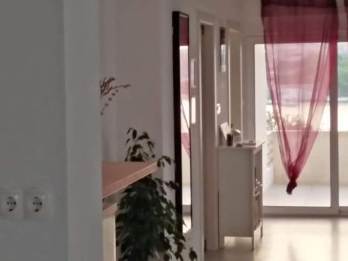 Φωτογραφία από το άλμπουμ του Apartmani Bruno σε Veli Iz