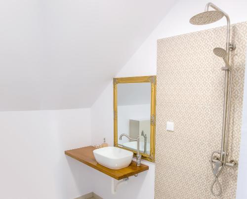 a bathroom with a sink and a mirror at La Fontaine in Hunedoara