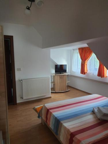 a bedroom with a bed and a television in it at Casa Alma in Borşa