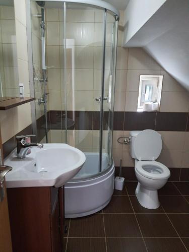 een badkamer met een douche, een toilet en een wastafel bij Casa Alma in Borşa