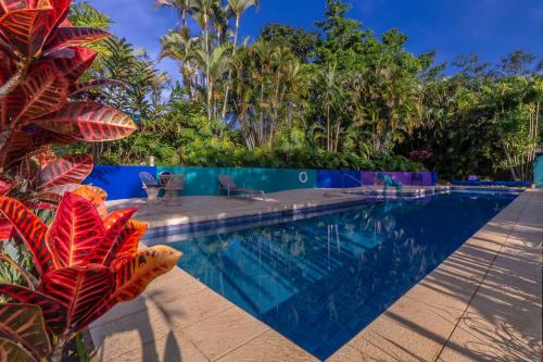a swimming pool in a resort with palm trees at Xandari Resort & Spa in Alajuela City