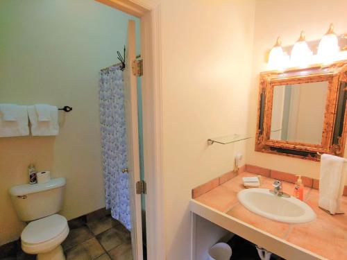 a bathroom with a sink, toilet and mirror at McKinley Edwards Inn in Bryson City
