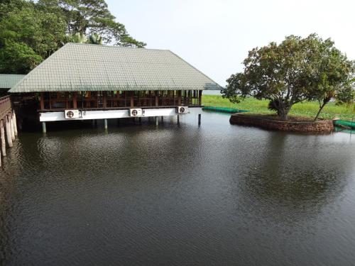 Landskap semula jadi dekat dengan resort
