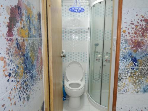 a bathroom with a shower and a toilet in a room at Delfin 207 in Cartagena de Indias