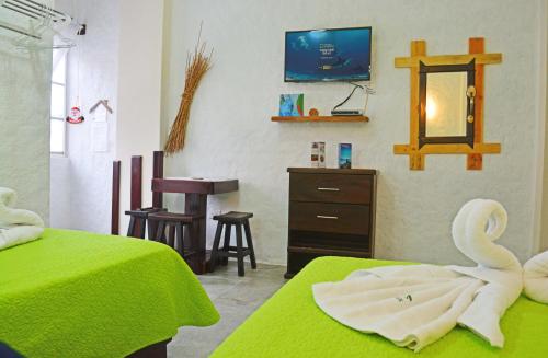 two swans sitting on two beds in a room at Hostal Cann's House in Puerto Baquerizo Moreno