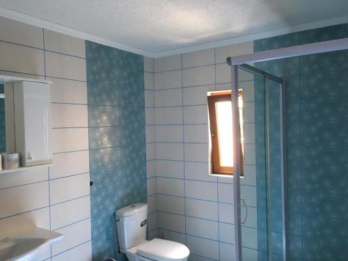W łazience znajduje się toaleta i przeszklony prysznic. w obiekcie Villa Coast of Montenegro w Barze