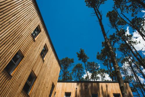 a tall building with trees in the background at Wanderlust José Ignacio in José Ignacio