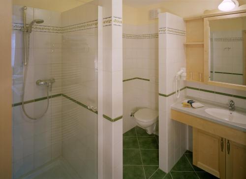 a bathroom with a shower and a toilet and a sink at Gasthof Hofbauer in Breitenau am Hochlantsch