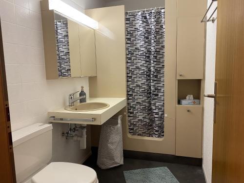 ein Bad mit einem Waschbecken, einem WC und einer Dusche in der Unterkunft Gauenpark AL77 Wohnung Hutter in Flumserberg