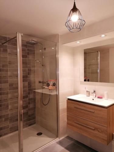 une salle de bain avec douche et lavabo dans l'établissement Superbe appartement face au lac d'Hossegor, à Soorts-Hossegor