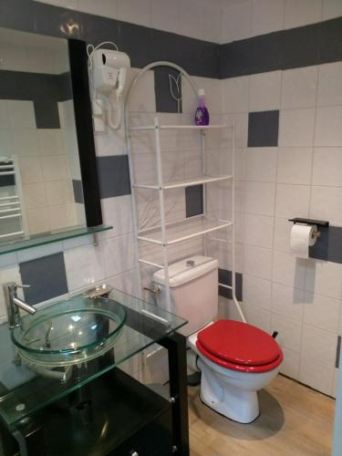La salle de bains est pourvue de toilettes rouges et d'un lavabo en verre. dans l'établissement Petite maisonnette d'environ 25m2 tout confort, à Oraison