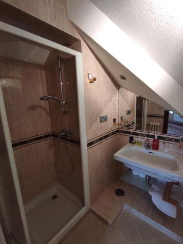 a bathroom with a shower and a sink at CASA DE MELCHOR in Cruces