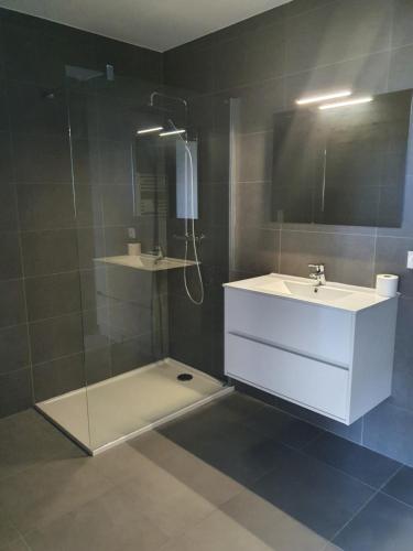 une salle de bain avec une douche et un lavabo et une douche dans l'établissement LoCorse - Superbe appartement T2 avec une belle vue mer, à Grosseto-Prugna