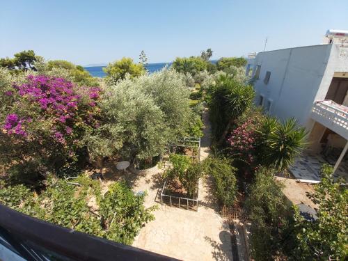 an overhead view of a garden with plants and flowers at Geranium Villa by the sea in Kineta