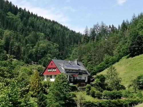 オッペナウにあるIdyllic holiday home in a mansion with garden in the beautiful Black Forestの木立の丘の脇の家