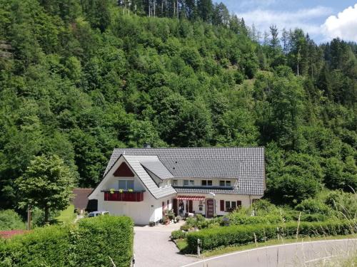 オッペナウにあるIdyllic holiday home in a mansion with garden in the beautiful Black Forestの山中家