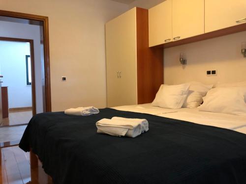 Starigrad House