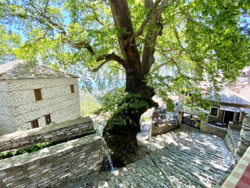 a tree sitting next to a stone wall with a bench at Archontika Karamarlis in Makrinítsa