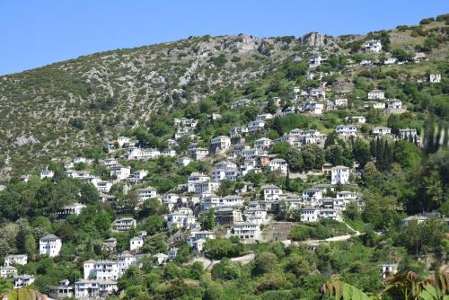 a hillside of houses on a mountain at Archontika Karamarlis in Makrinítsa