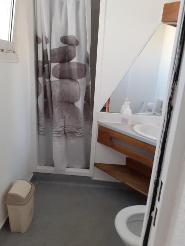 uma casa de banho com um chuveiro, um lavatório e um WC. em Studios Les Aigues Marines em Le Grau-du-Roi