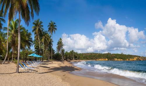 a beach with palm trees and chairs and the ocean at Hyatt Vacation Club at Hacienda del Mar in Dorado