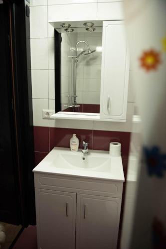 a bathroom with a white sink and a mirror at Casa Florus in Şieu