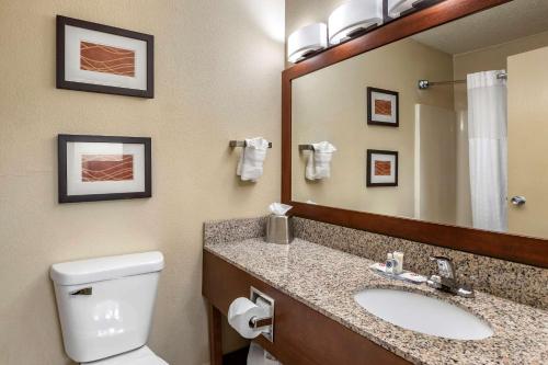 Koupelna v ubytování Comfort Inn Moline - Quad Cities