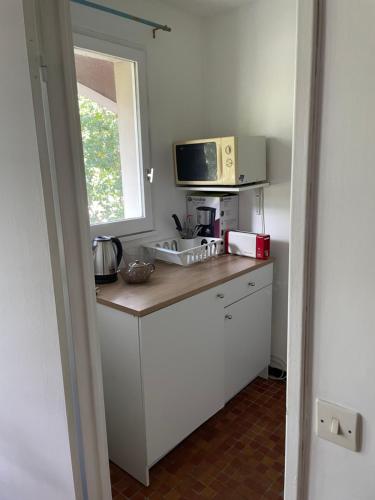 een keuken met een aanrecht met een magnetron bij Appartement 35 m2 Créteil l Echat in Créteil