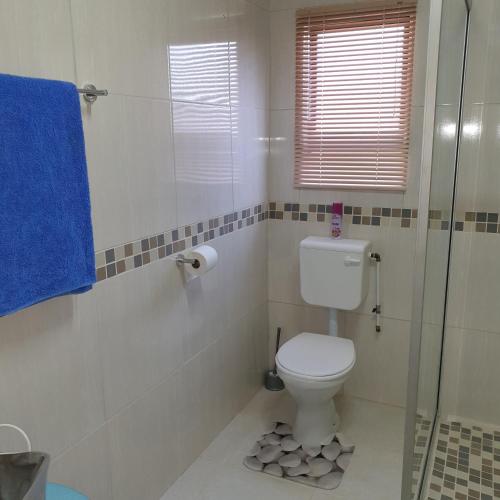 a bathroom with a toilet and a glass shower at The Haven: Make our Home your Home in Estcourt