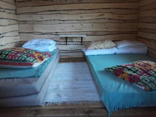 two twin beds in a room with wooden walls at Elulõng Camping in Lohusuu
