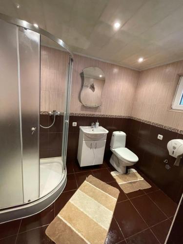a bathroom with a shower and a toilet and a sink at Приватна садиба Велятин in Velyatyn