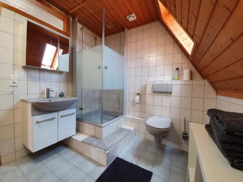 y baño con ducha, lavabo y aseo. en Ferienhaus zur Altmühl en Ornbau