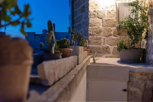 a kitchen counter with potted plants and a sink at Lu Focalire Casa Vacanze in Carpignano Salentino